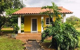 Casa Tangara